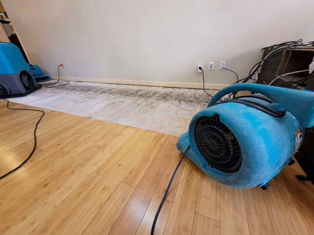Professional Ceiling Water Damage Repair technician working in Delaware City, DE